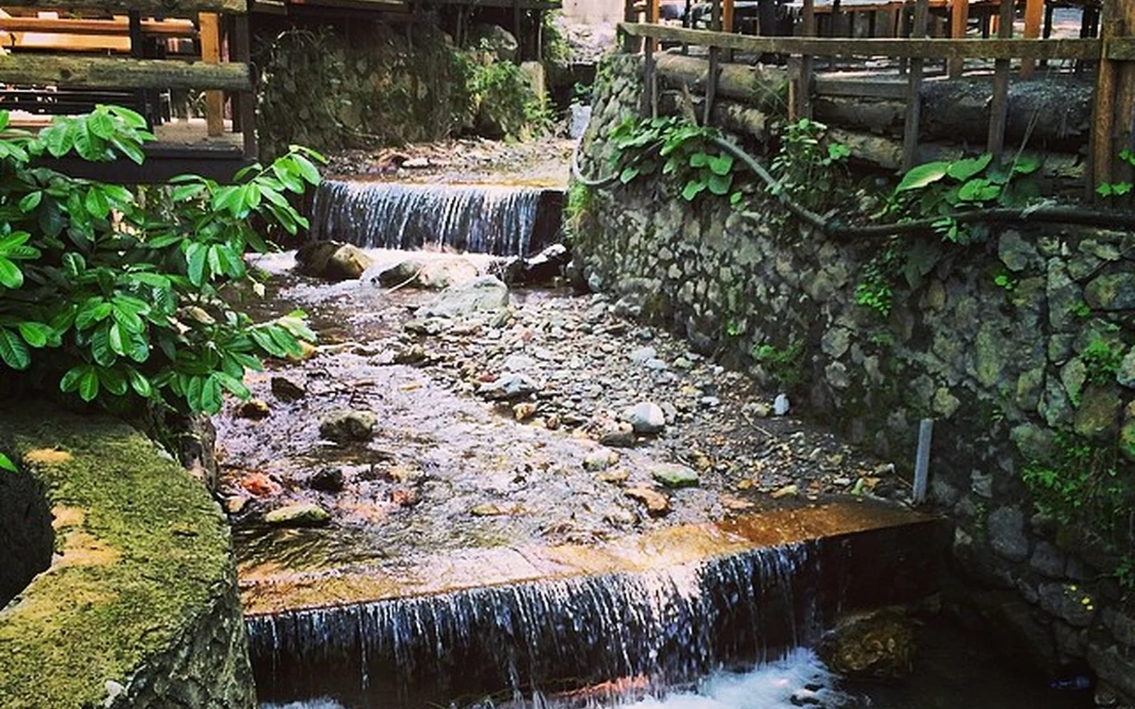 Forest stream and nature in Masukiye
